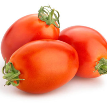 tomate olivette